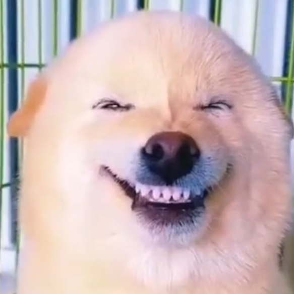 Улыбнитесь!!!