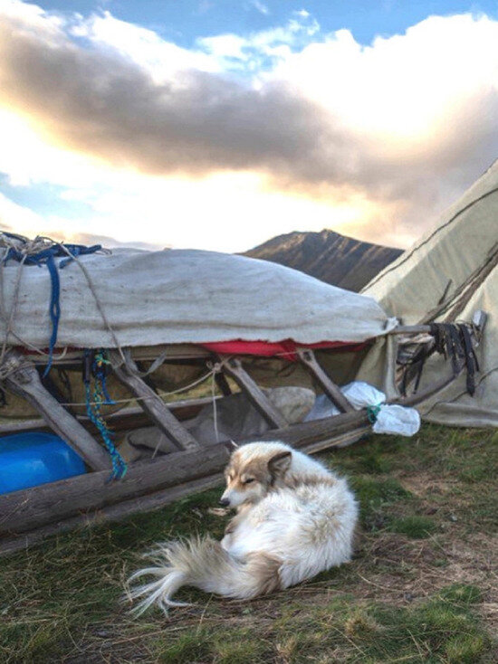     Фото: пресс-служба губернатора ЯНАО