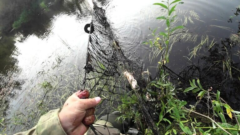    В Оренбуржье из водоемов извлекли больше тысячи брошенных рыбаками сетей Елена Шкатова