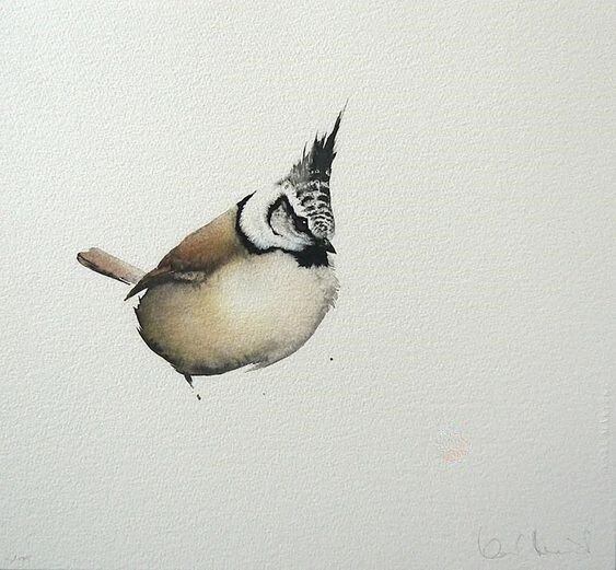 Карл Мартенс. Хохлатая синица.