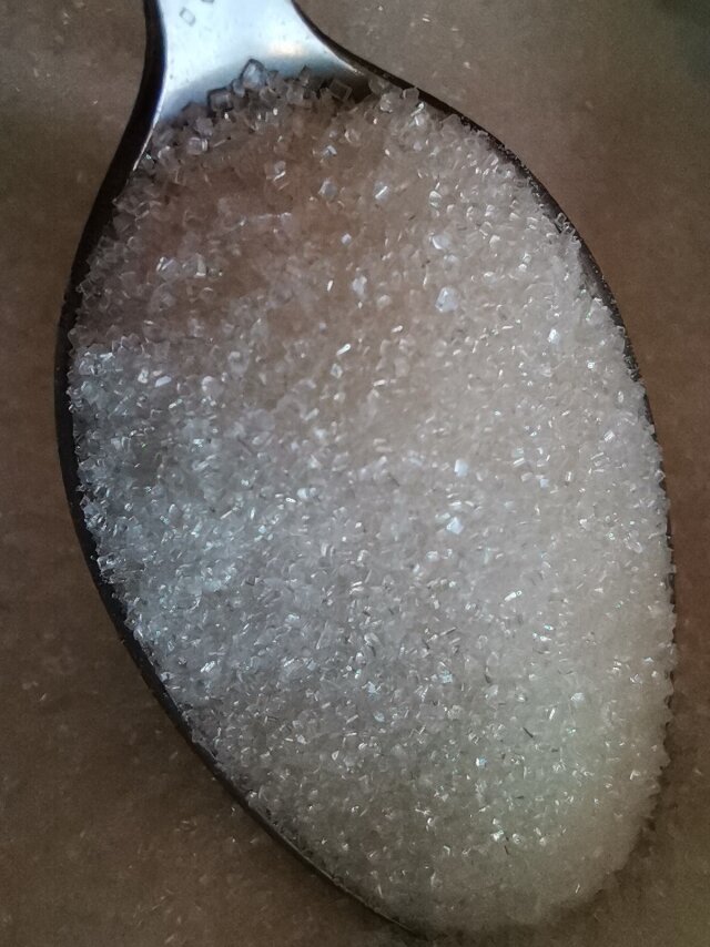    Сахар Наталия Николаева © ИА REGNUM