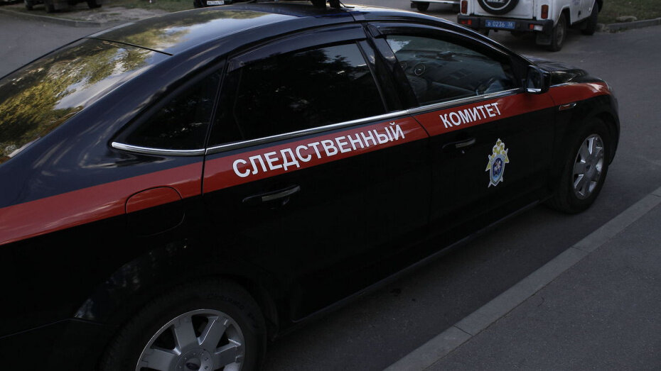   Автор фото: Евгения Емельянова (из архива)