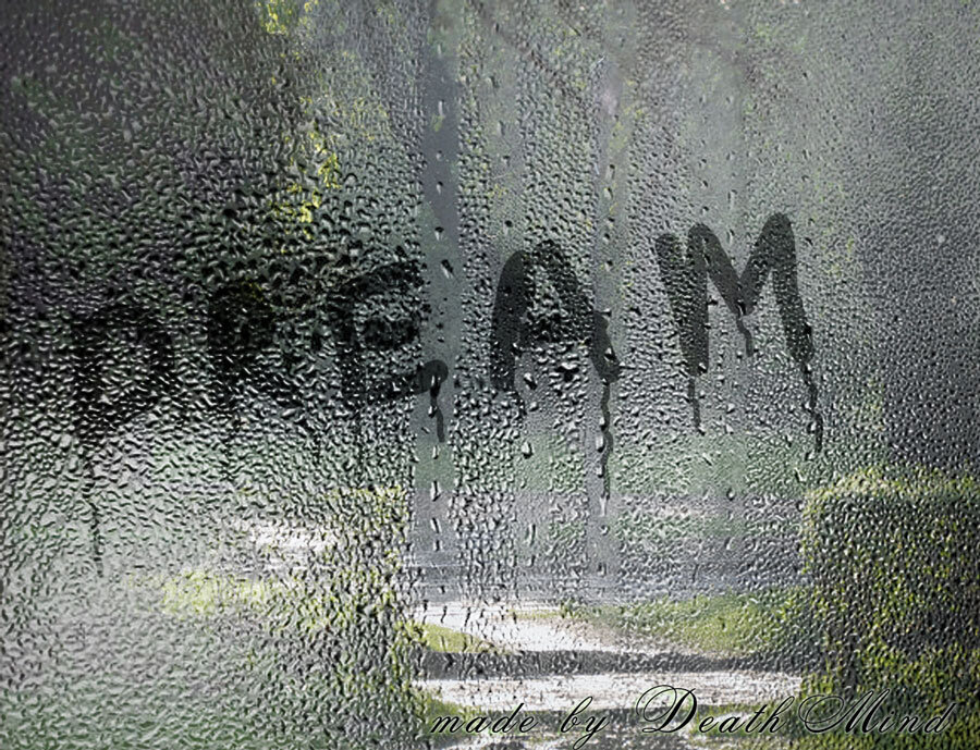 @яндекс.картинки