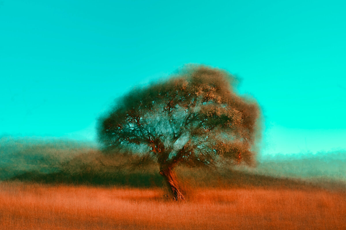 Photo by Jr Korpa on Unsplash