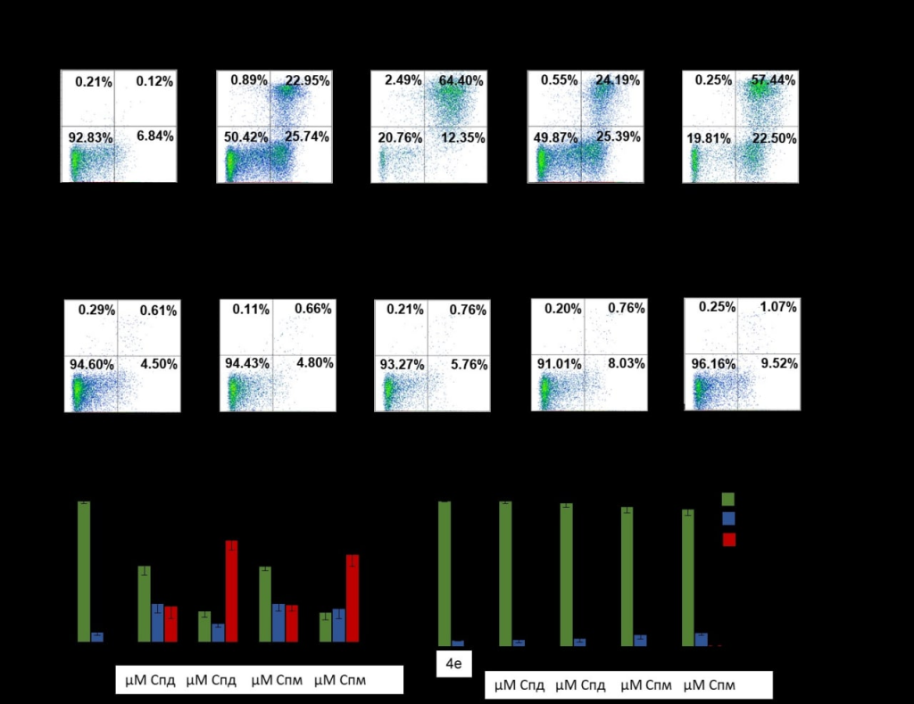Рисунок. Индукция апоптоза в опухолевых клетках с помощью биспидинового соединения в присутствии полиаминов. Клетки (А) модели опухоли печени человека HepG2 или (Б) нормальные фибробласты линии WI-38 инкубировали с соединением 4e и полиаминами 1 или 10 мкм спермидина (Спд) или спермина (Спм). Представлены результаты проточной цитометрии. Увеличение количества клеток в верхних частях диаграмм соответствует увеличение гибели клеток.