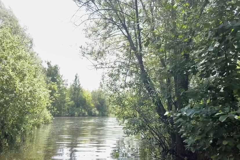 Ураган в борском районе нижегородской области с фото