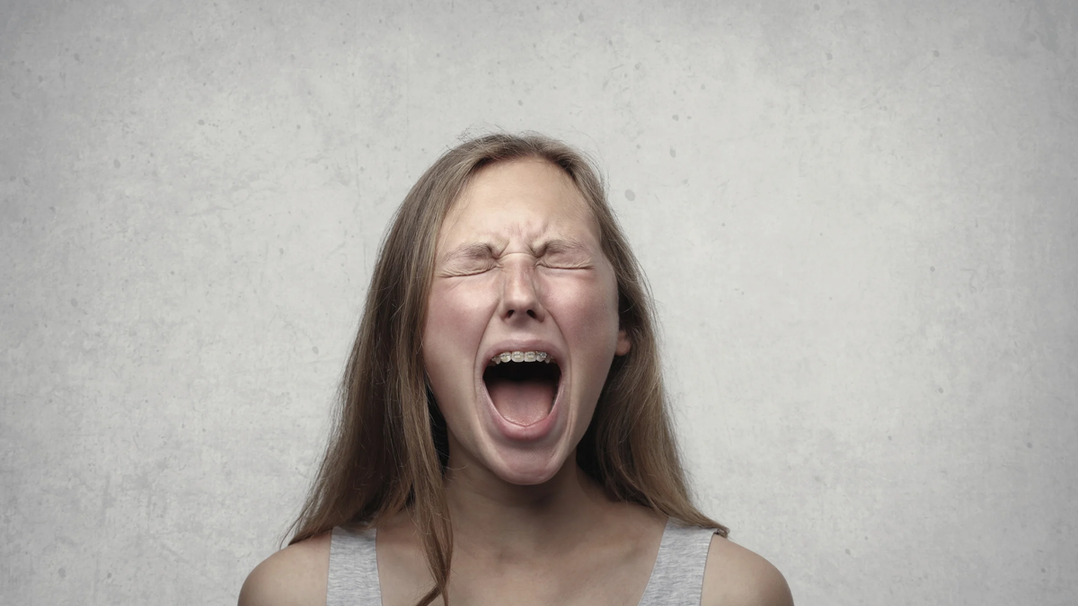 Фото из свободных источников интернета