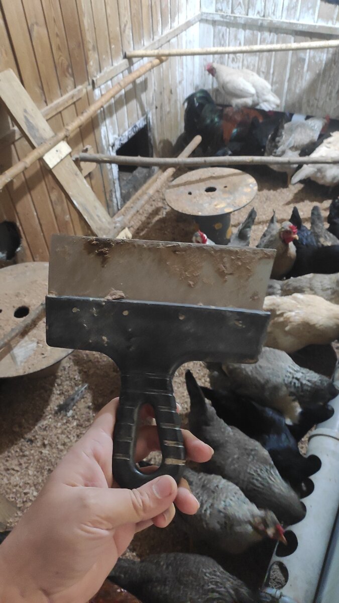 Верный помощник чистоты и порядка