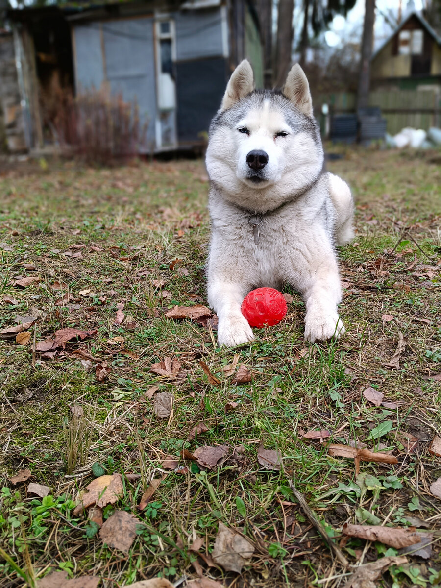 Ну и как ей отказать!?'