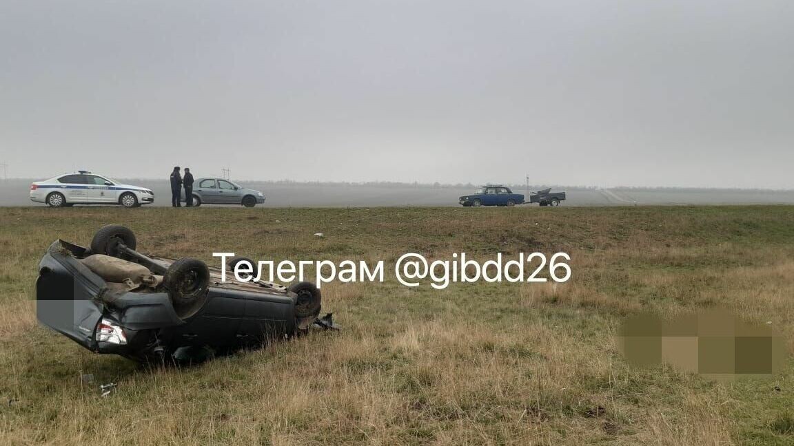     В Ставропольском крае начинающий водитель спровоцировала аварию с погибшим пассажиром, сообщили в УГИБДД по региону.