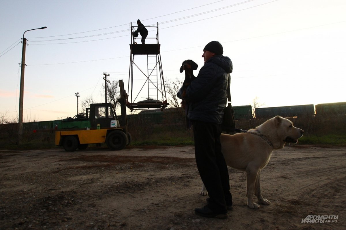    Жители Рубежного восстанавливают свет с помощью складского погрузчика