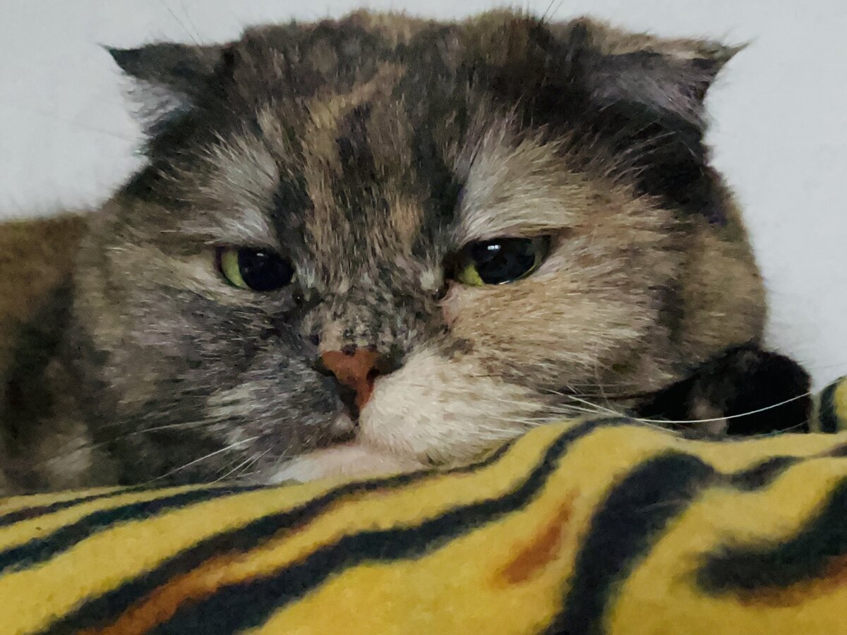 Тебе страшно, ты и бойся, а зачем меня пугать?