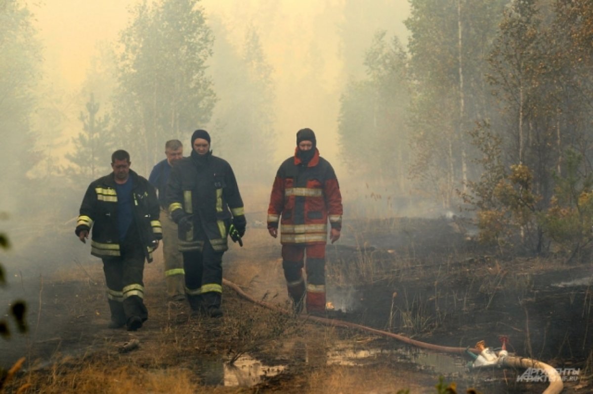    В России в 2022 году сгорело 3,5 млн га леса