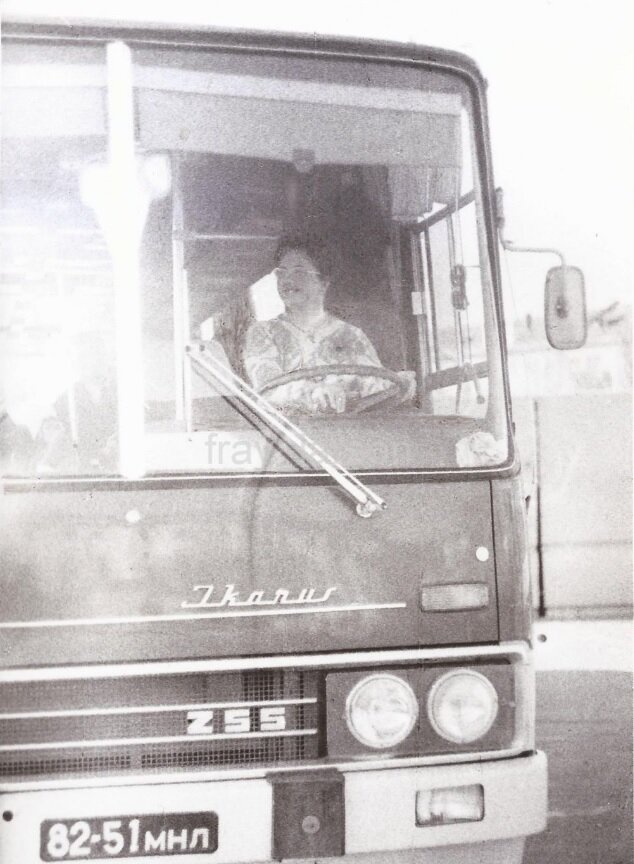 Водитель за Икарусом