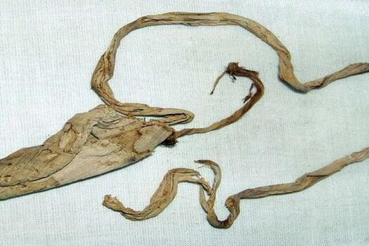 Яндекс.Картинки