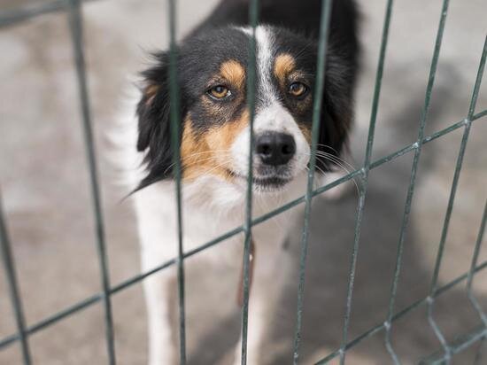     Фото Freepic.com