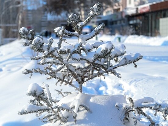     Фото: Людмила Ковалева.