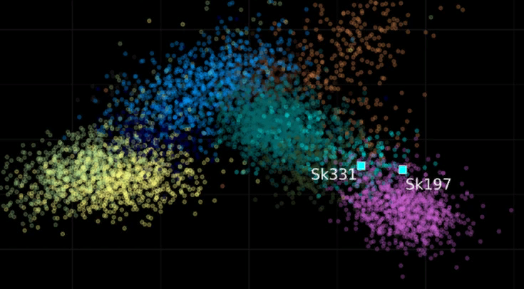   Iseult Jackson et al. / European Journal of Human Genetics, 2022