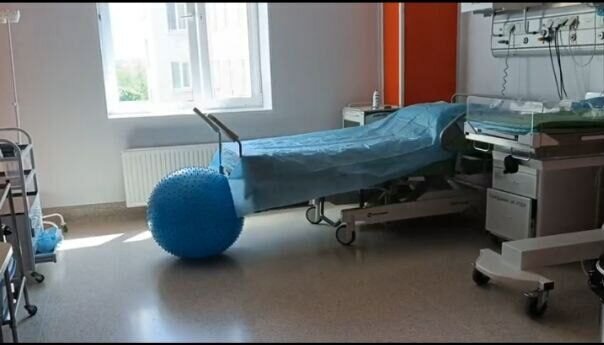    Из Оренбургского перинатального центра 6 декабря выписали 23 малыша Елена Шкатова