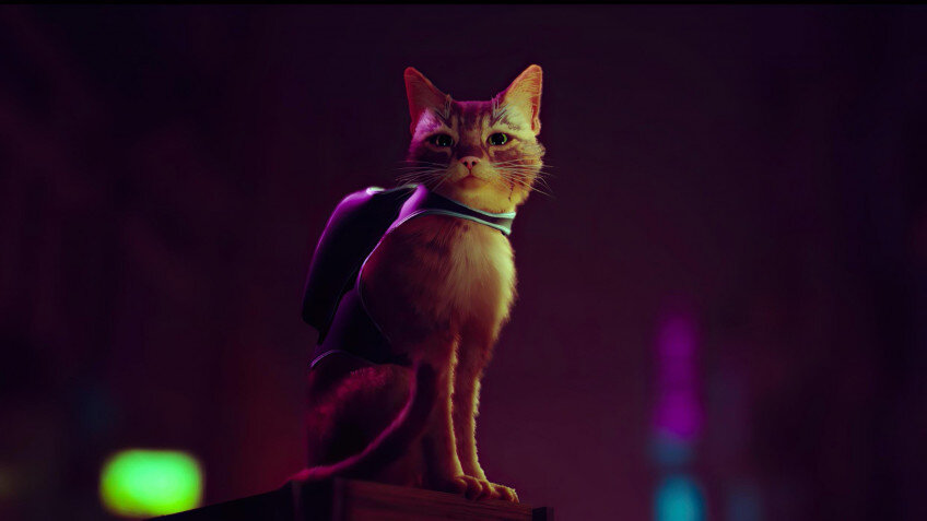    Дебют года: Neon White, Vampire Survivors, Tunic, Metal: Hellsinger, Stray