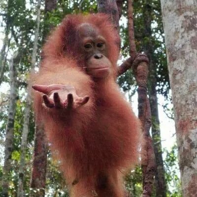 Хочешь ли ты быть активным участником своей жизни?