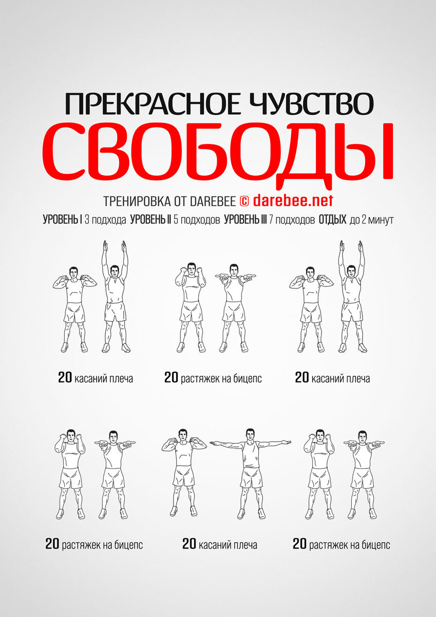 Новые тренировочные