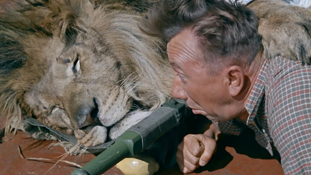 Яндекс. Картинки