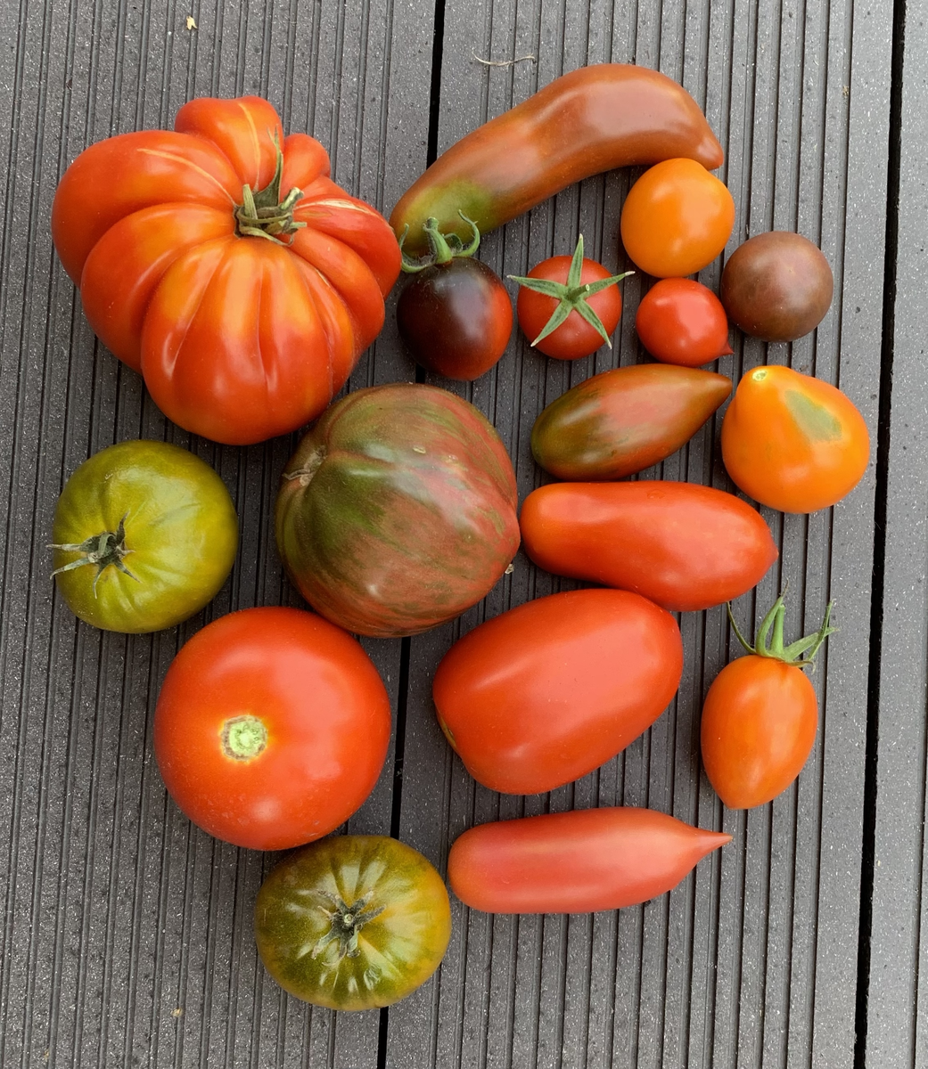 Первый сбор с разных сортов 2022