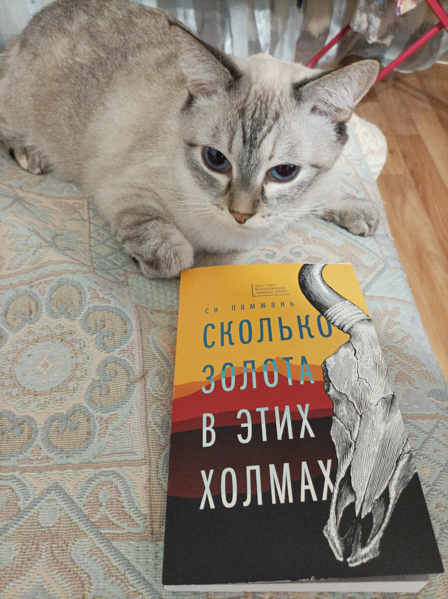 Сегодня читаемую книгу в мягкой обложке из сети магазинов Fix Price представляет Дженька. 