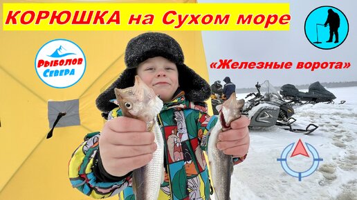 ✅РЫБАЛКА НА КОРЮХА С МАТВЕЕМ 🎣🐠🐠🐠| ЖЕЛЕЗНЫЕ ВОРОТА | БЕЛОЕ МОРЕ | СУХОЕ МОРЕ #рыболов_севера