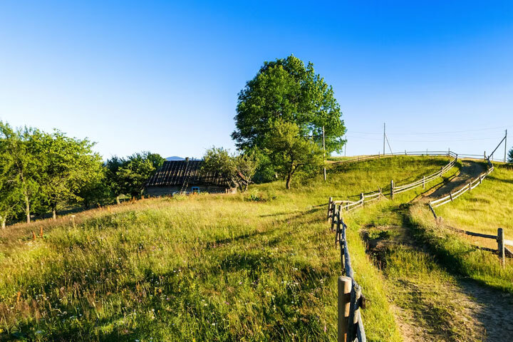 Фото: ru.freepik.com 