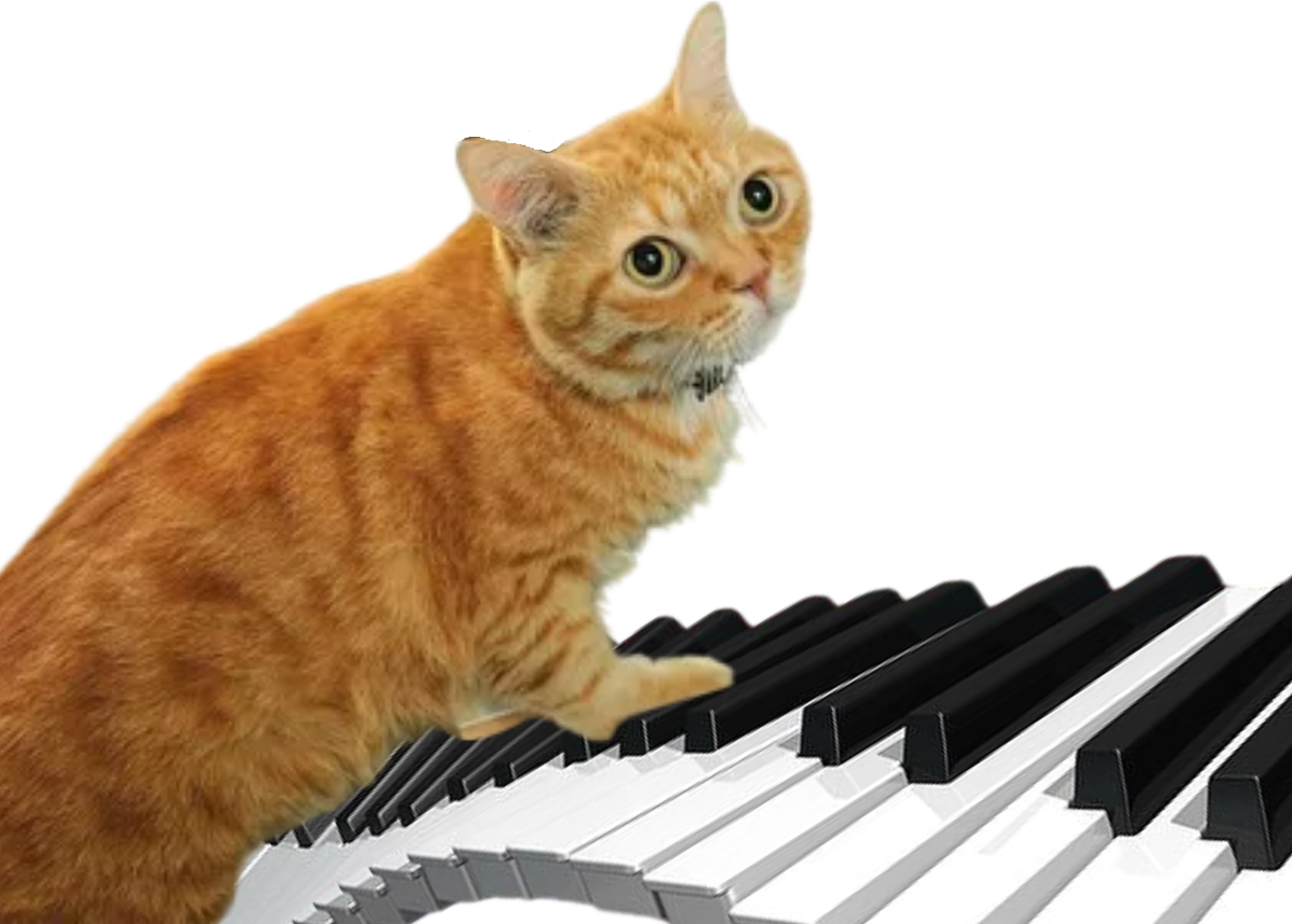Кота музыкальные инструменты