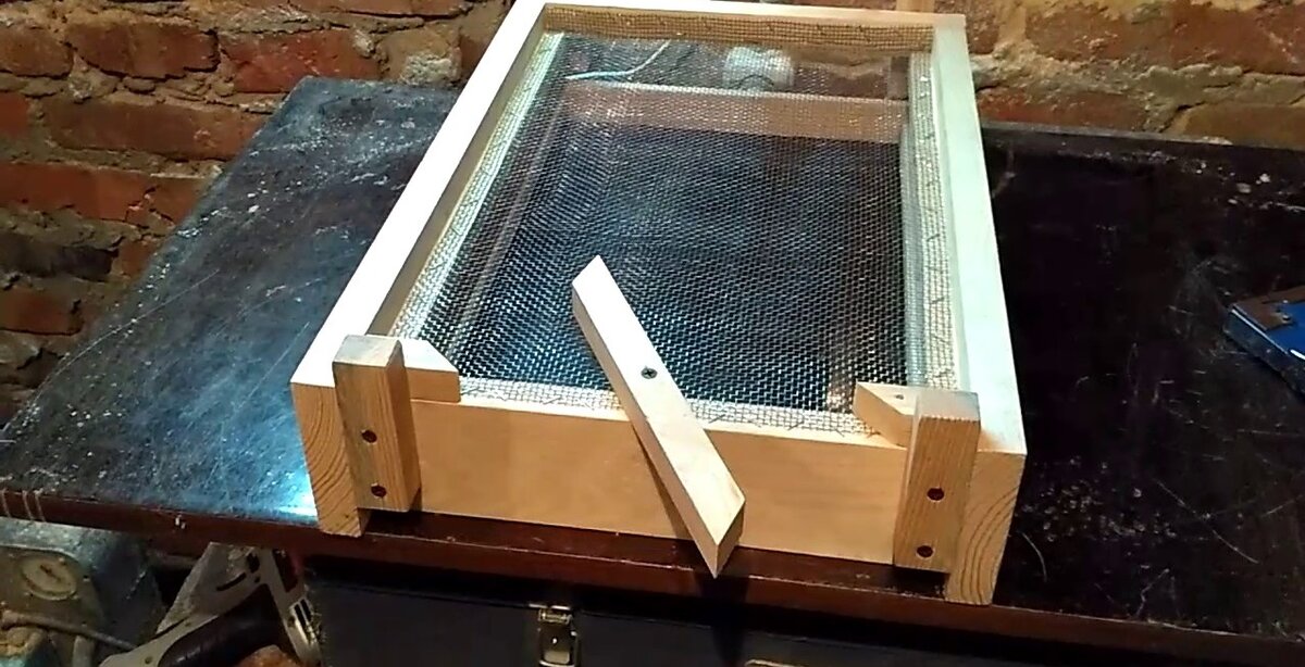 Сетчатое дно рогатого улья