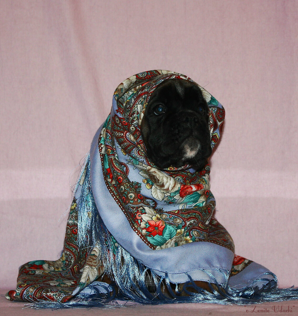 Есения 2 мес.