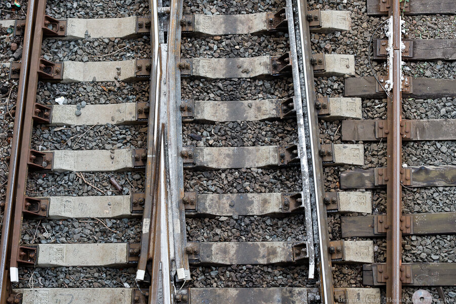 Фото: Виталий Невар / Новый Калининград