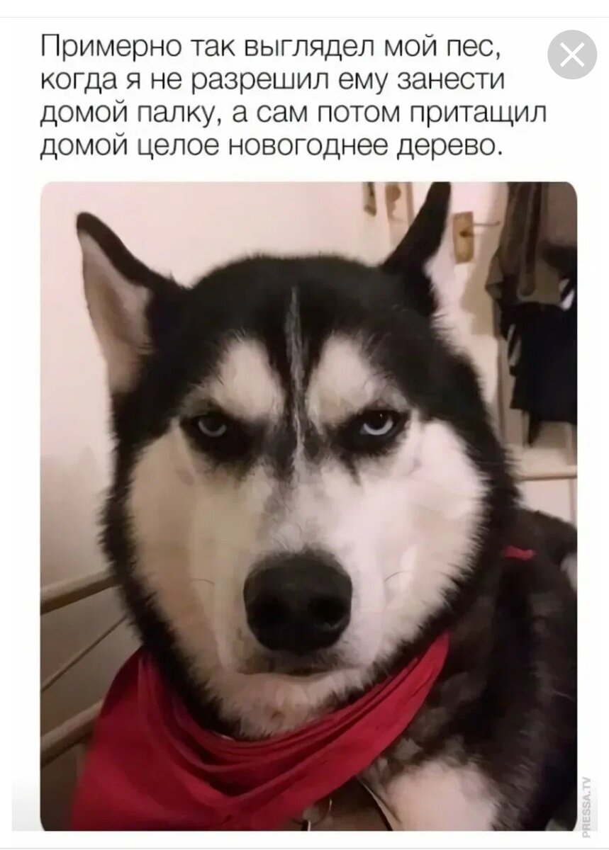 Скриншот автора