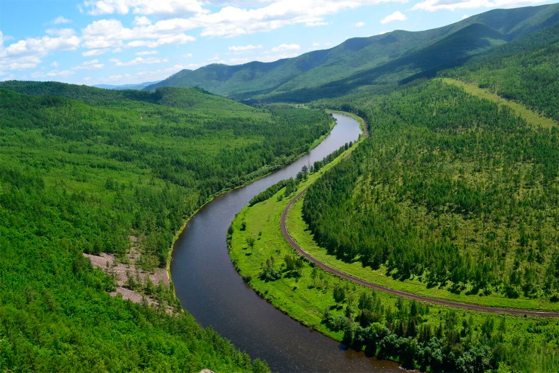 Яндекс. Картинки