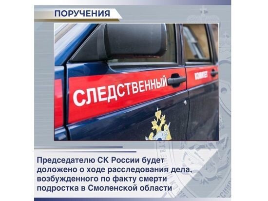     Фото: vk.com/skrsmol