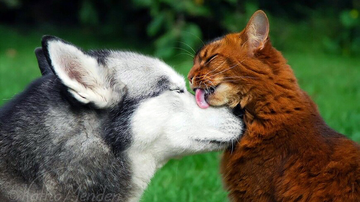 источник фото: ru.pinterest.com