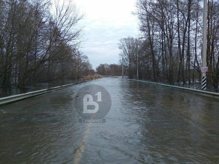 ФОТО: ТЕЛЕГРАМ-КАНАЛ "ВОРОНЕЖ №1"