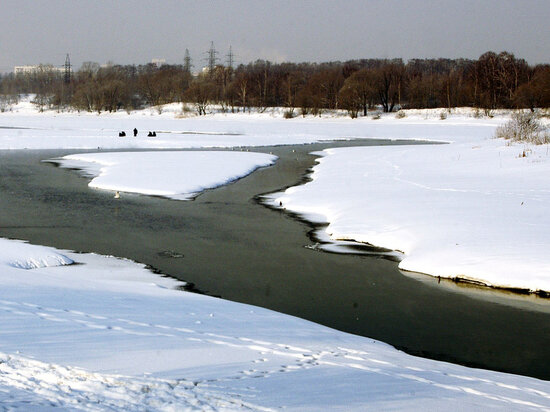   Александр Корнющенко
