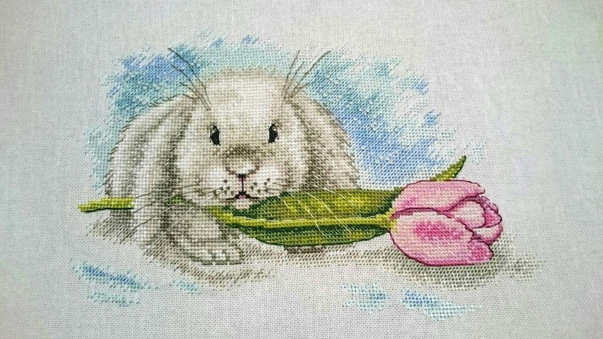 Фото и вышивка Александры Шуваловой, дизайн Анны Петуновой