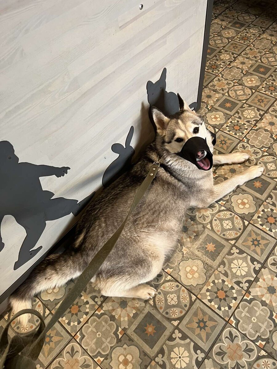 -2