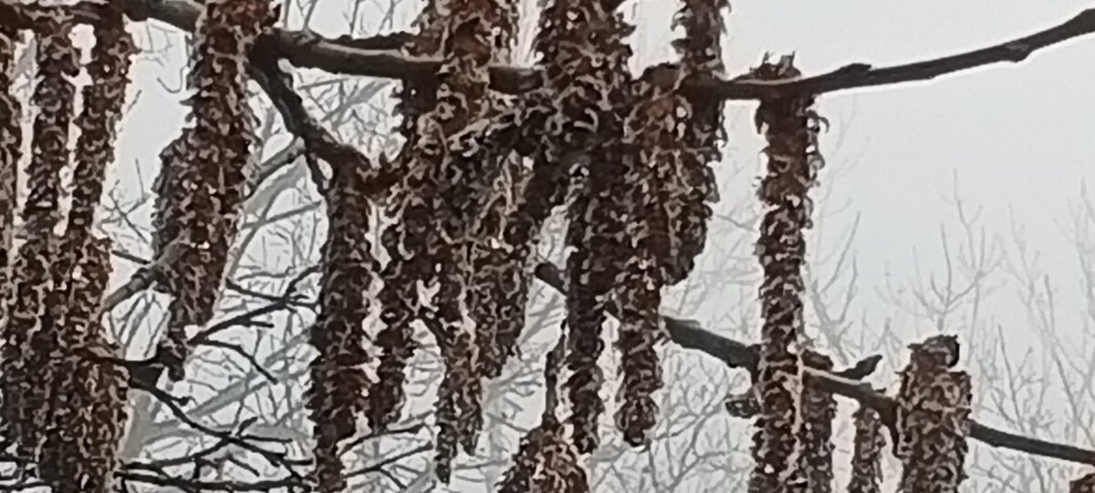 Фото Ларисы Малковой