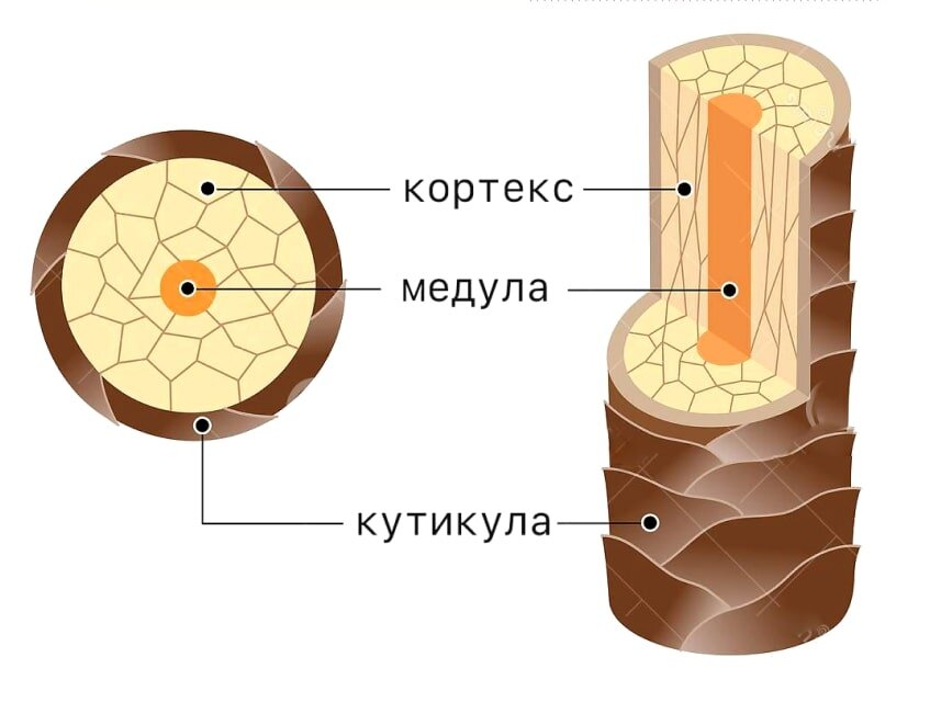 Маски для восстановления волос Селенцин купить по выгодной цене