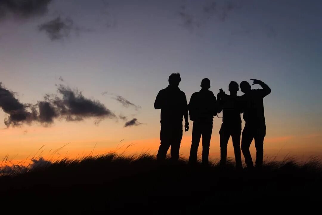 Яндекс.Картинки.