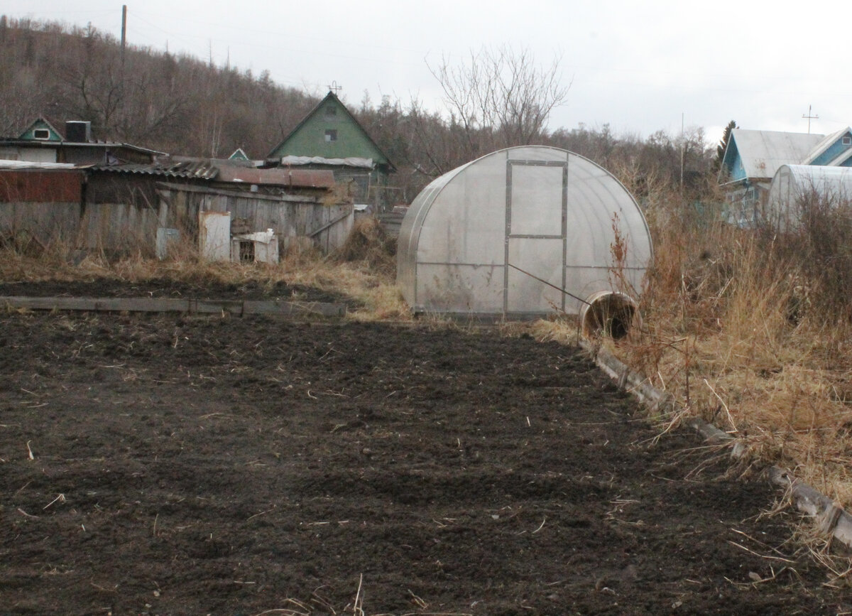 За теплицей- не моё. А слева начало сопки