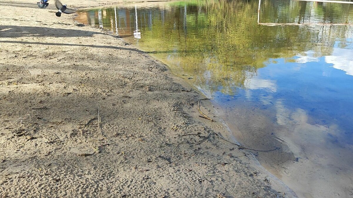 каменищи нижегородская область бутурлинский район озеро