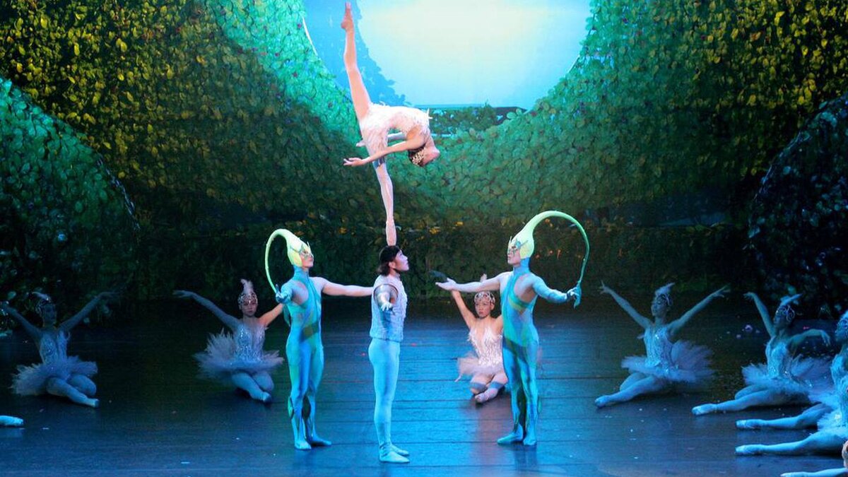 Canada’s national ballet school photos. Китайский балет в москве 2024 лебединое озеро. Русский балет в китае. Концерт лебединое озеро. Китайский балет в москве 2024 лебединое озеро.