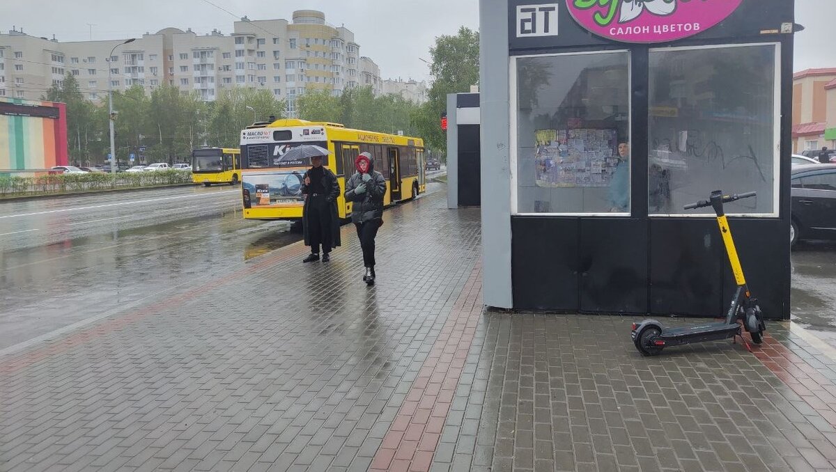 Апокалипсис в Сургуте: поломаны деревья и затоплены дворы. Фоторепортаж с  улиц города | muksun.fm | Дзен